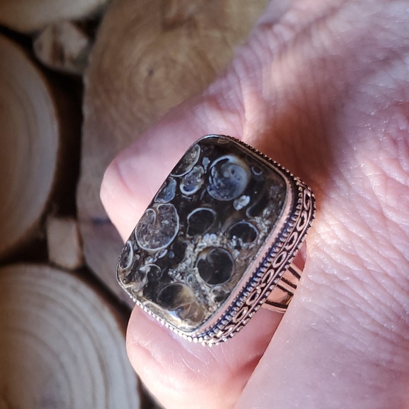 New Turritella Agate Fossil 925 Silver Ring. - Picture 12 of 16